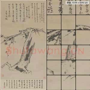清代 朱耷 梅花轴