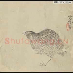 清代 朱耷 石鸟页