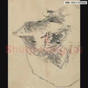 清代 朱耷 鹌鹑页