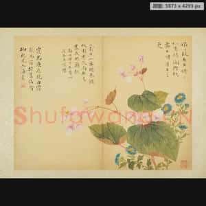 清代 邹一桂 花卉图册