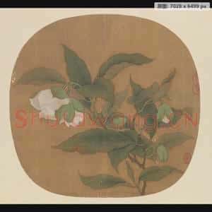 宋代 佚名 白茶花图页