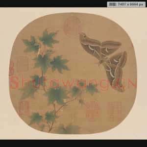 宋代 佚名 青枫巨蝶页