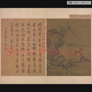 宋代 佚名 岩桧图册页