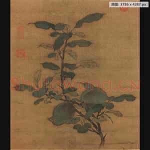 宋代 佚名 折枝果页