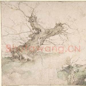 [荷兰素描作品]亚伯拉罕·布洛马特-两棵截顶柳树习作.tif