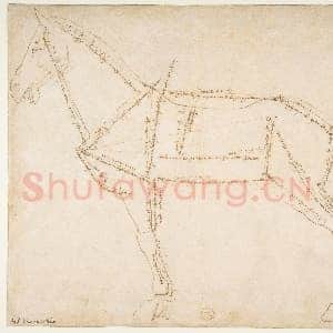 [意大利素描作品]安德烈亚·德尔·韦罗基奥-朝左马匹测量图(正面).tif