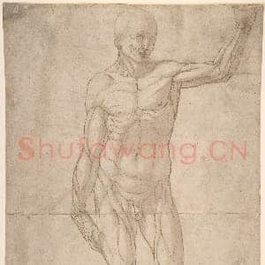 [佚名素描作品]解剖学研习：青年描绘站立男子解剖像.tif