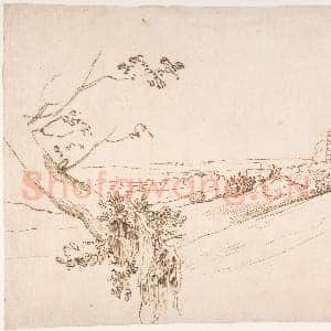 [佛兰德斯素描作品]安东尼·凡·戴克-多节树木与农庄风景.tif