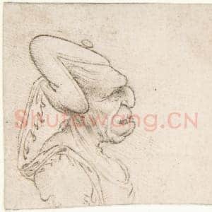 [意大利素描作品]传为弗朗切斯科·梅尔齐-两幅怪诞头像(老妇).tif