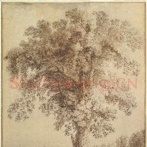 [德国素描作品]雅各布·菲利普·哈克特-阿尔巴诺的大树.tif
