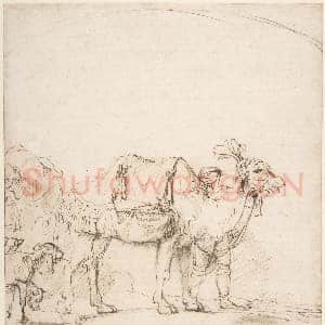 [荷兰素描作品]伦勃朗画派-牵骆驼的男子.tif