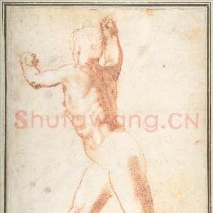 [意大利素描作品]塔代奥·祖卡罗-站姿裸体男子(正面)三幅习作(背面).tif