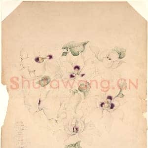 [美国素描作品]蒂芙尼公司-设计图1.tif