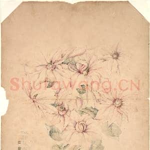 [美国素描作品]蒂芙尼公司-设计图2.tif