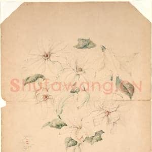[美国素描作品]蒂芙尼公司-玉兰花瓶设计图.tif