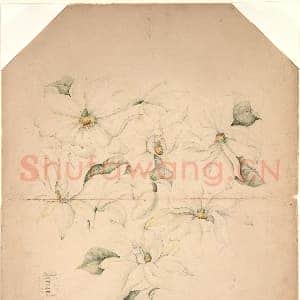 [美国素描作品]蒂芙尼公司-带珐琅标注的玉兰花瓶素描.tif
