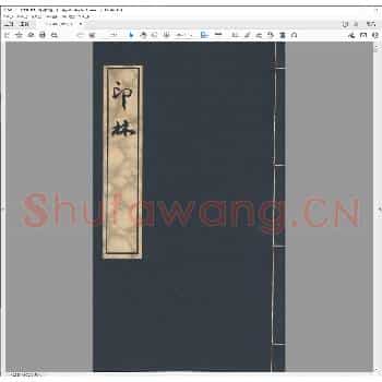 印林.清光绪三十三年.pdf