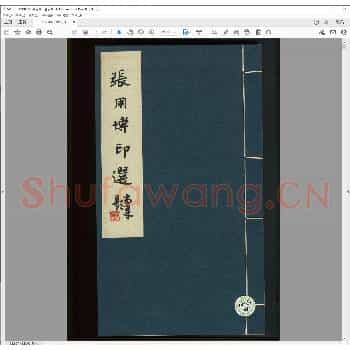 张用博印选.pdf