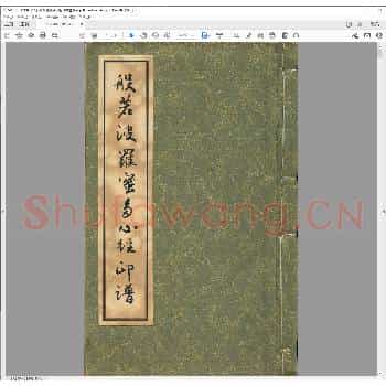 般若波罗蜜多心经.清咸丰八年.pdf