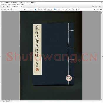 藏传铁印选粹录.现代丙子年.pdf