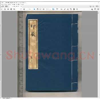印薮.pdf