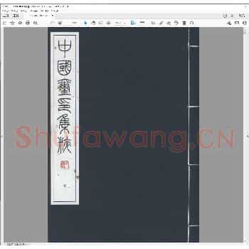 中国玺印集粹.pdf
