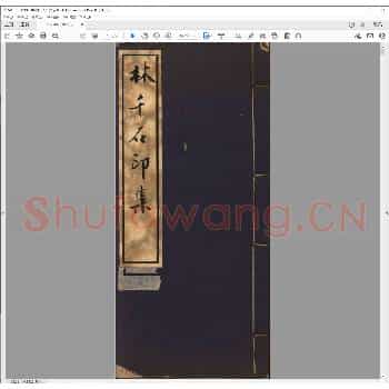 林千石印集.pdf