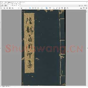 陆龙自用印集.pdf