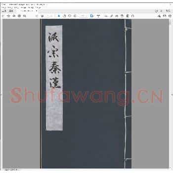 派宗秦汉.pdf