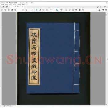 槐荫层晖庐藏印选.pdf