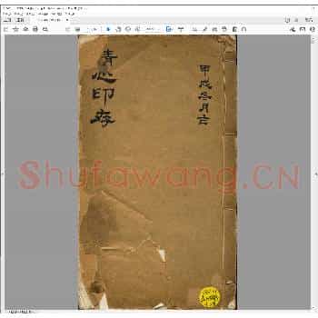 清心印存.pdf