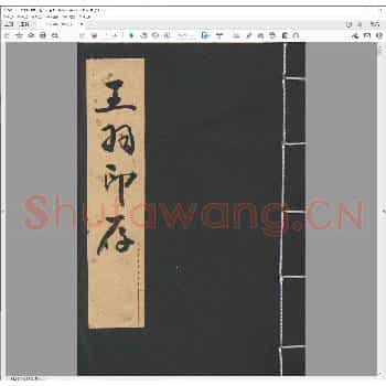 王羽印存.pdf