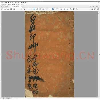 白石印草.pdf