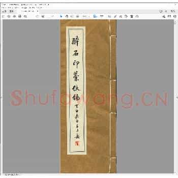 醉石印稿佚编.pdf