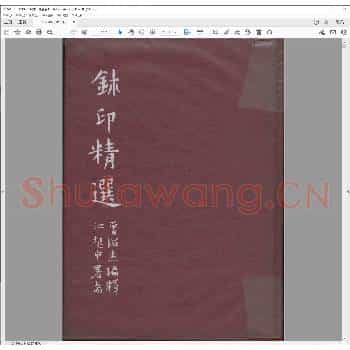 鈢印精选.pdf