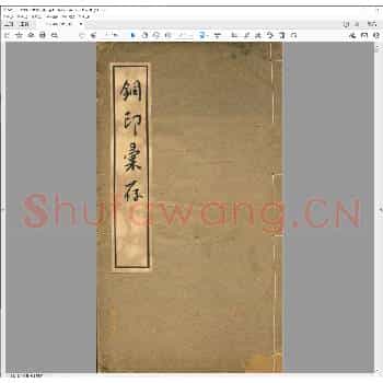 铜印彚存.pdf