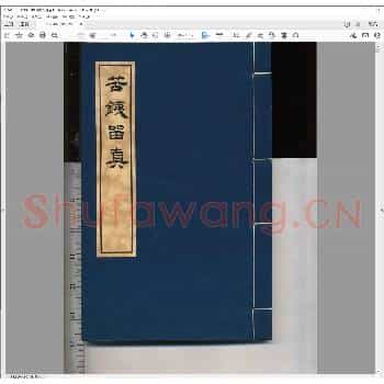 苦铁留真.pdf
