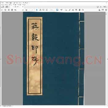 蒋毅印存.pdf