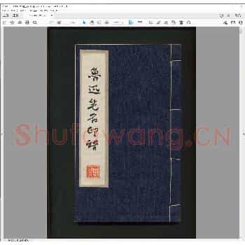 鲁迅笔名印谱.pdf