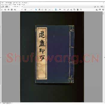 遯盦印存.pdf