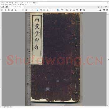 柏叶盦印存.清光绪二十一年.pdf
