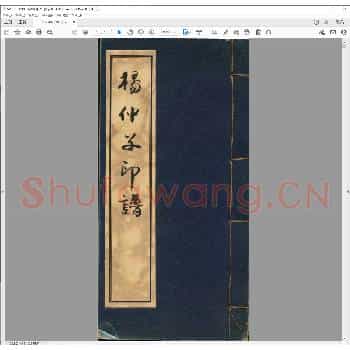 杨仲子印谱.pdf