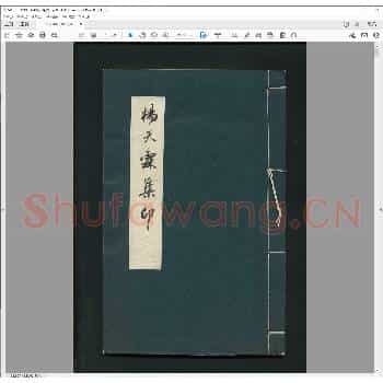 杨天霖集印.pdf