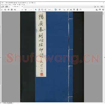 杨广泰刻心经印谱.丁卯年.pdf