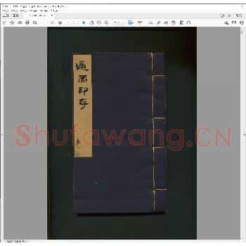 适园印存.pdf