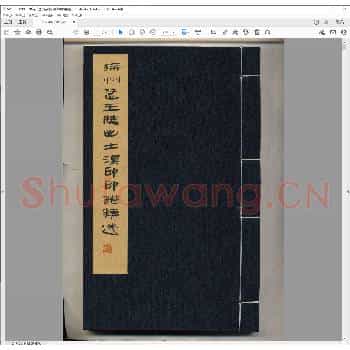 徐州楚王陵出土汉印印谱精选.pdf