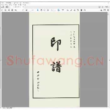 明代印存.pdf