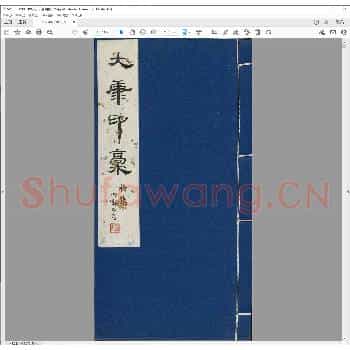大康印稿.现代丙寅年.pdf