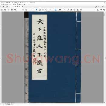 天下谁人不识君.辛巳年.pdf