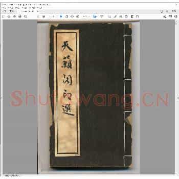 天籁阁印选.pdf